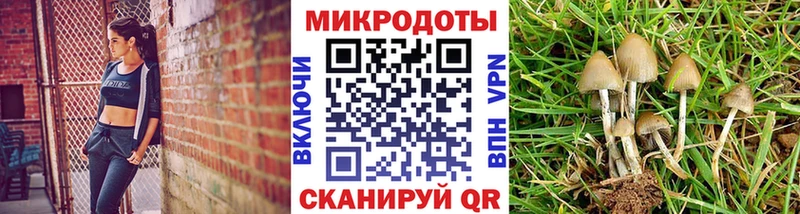 Галлюциногенные грибы ЛСД хочу ОМГ ОМГ Костерёво